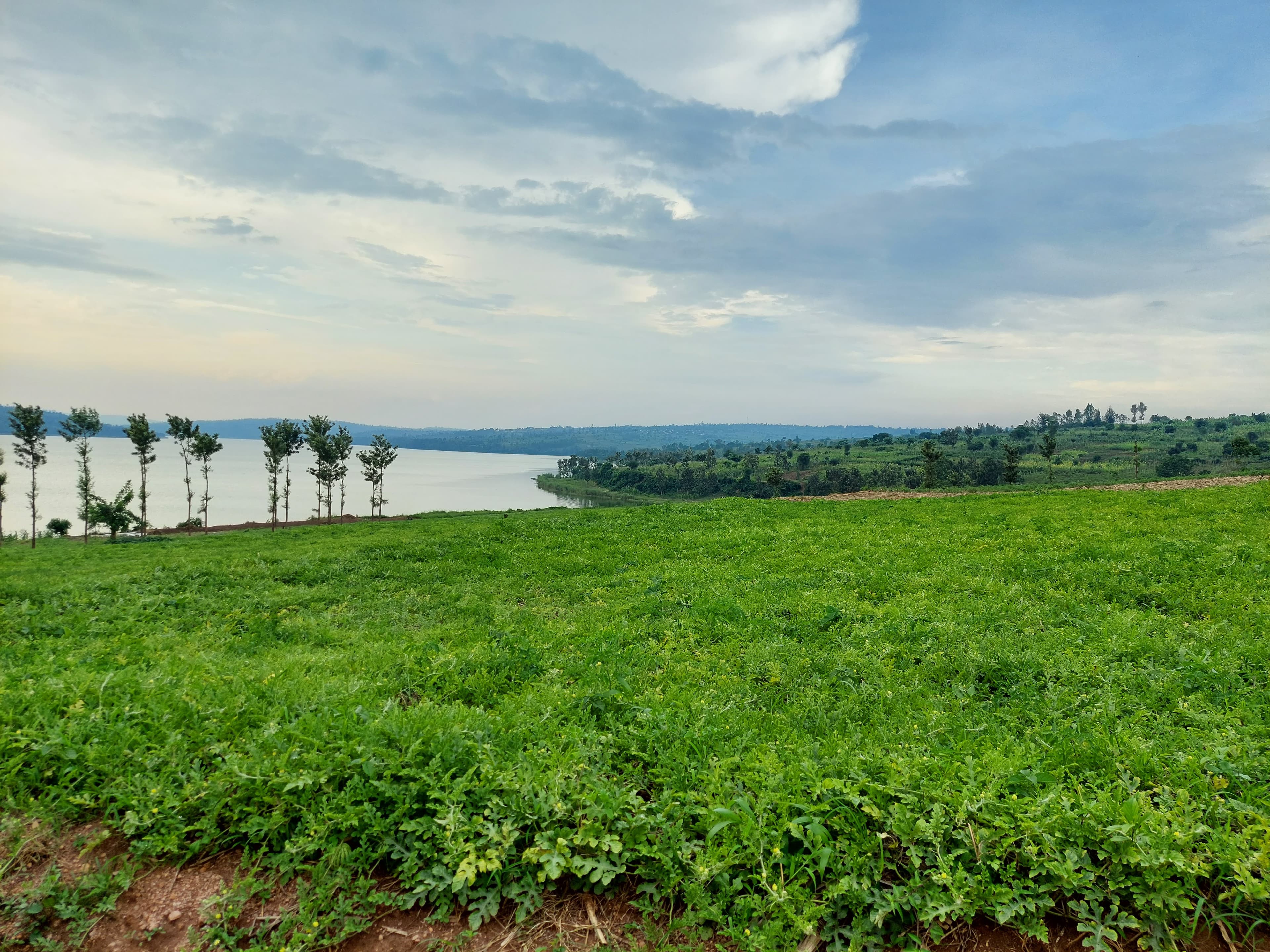 Experience the Rhythm of the Land of a Thousand Hills