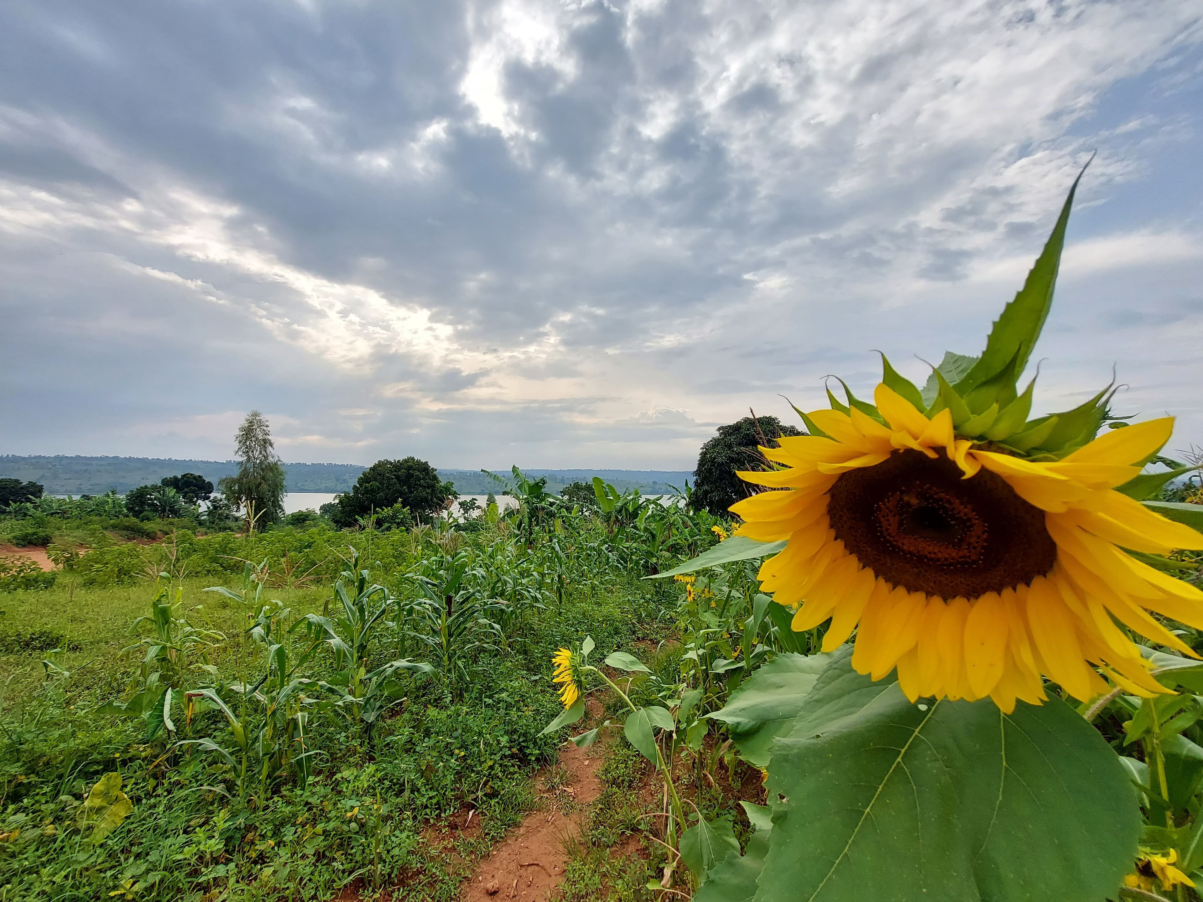 Best Day Trips from Kigali