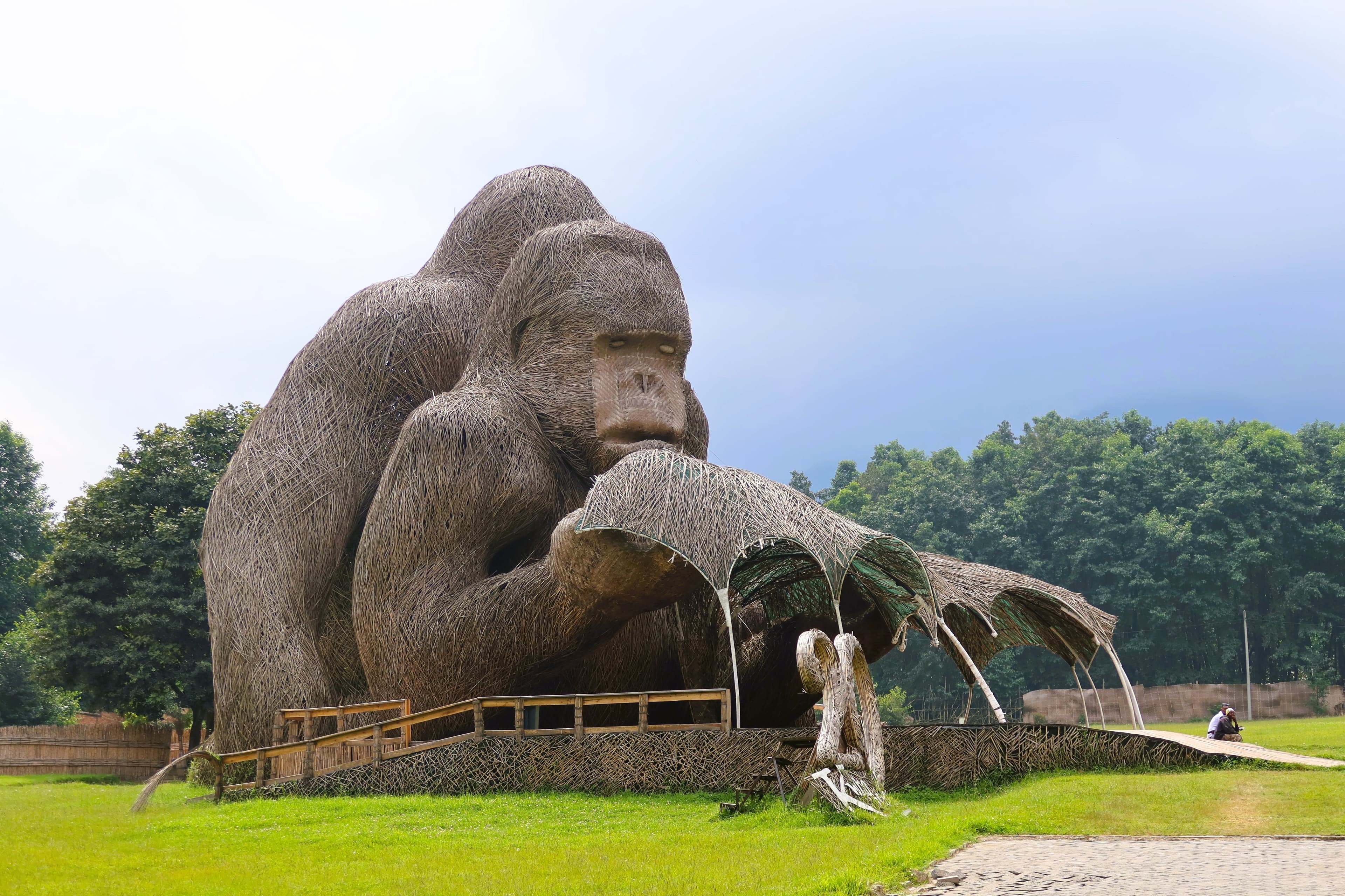 Kwita Izina 2026: Inside Rwanda's Gorilla Naming Ceremony (And Why Musanze Is the Place to Be This September)