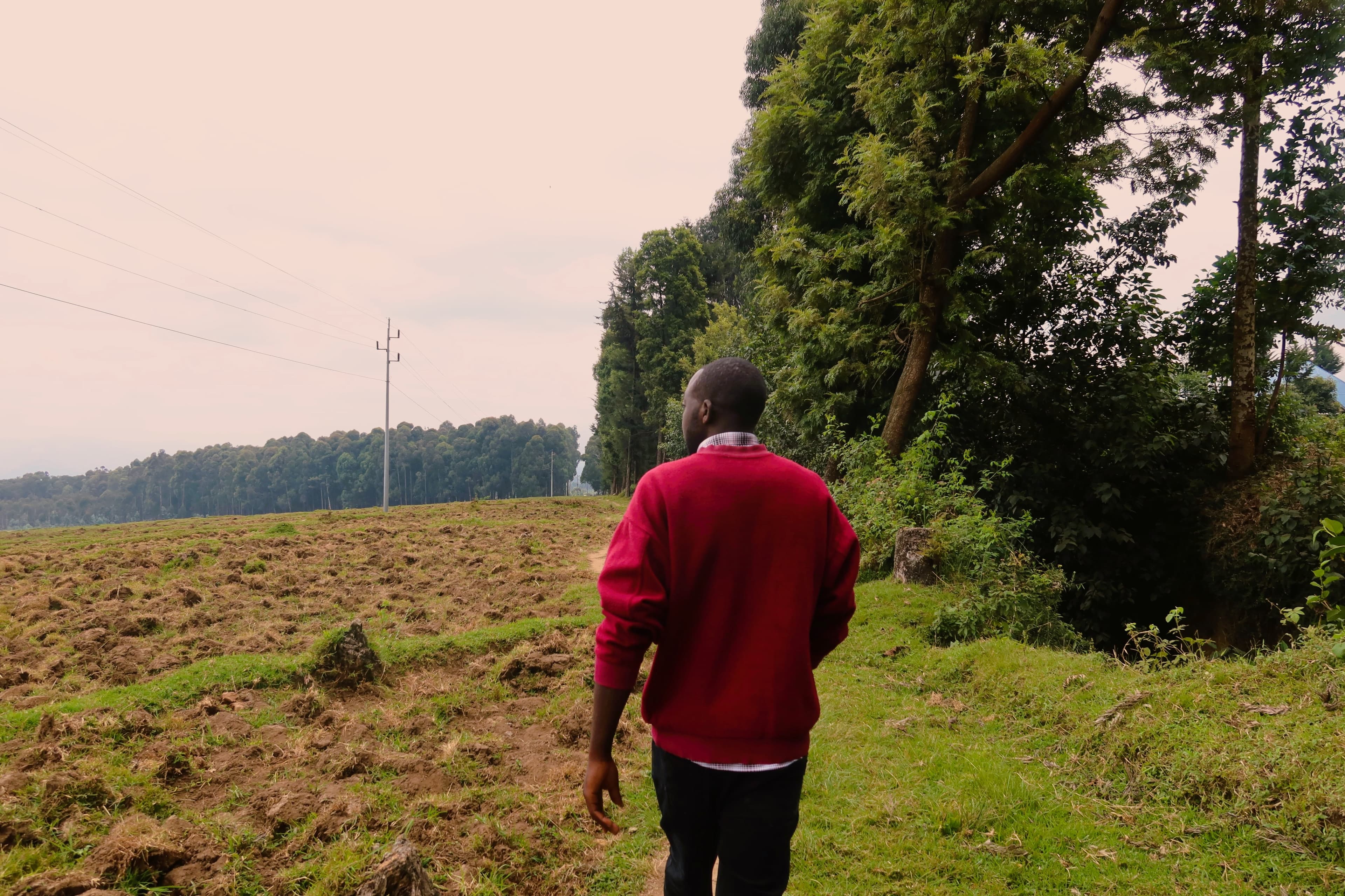 Musanze : Rwanda Herbal Village Trek & Gorilla Naming Experience