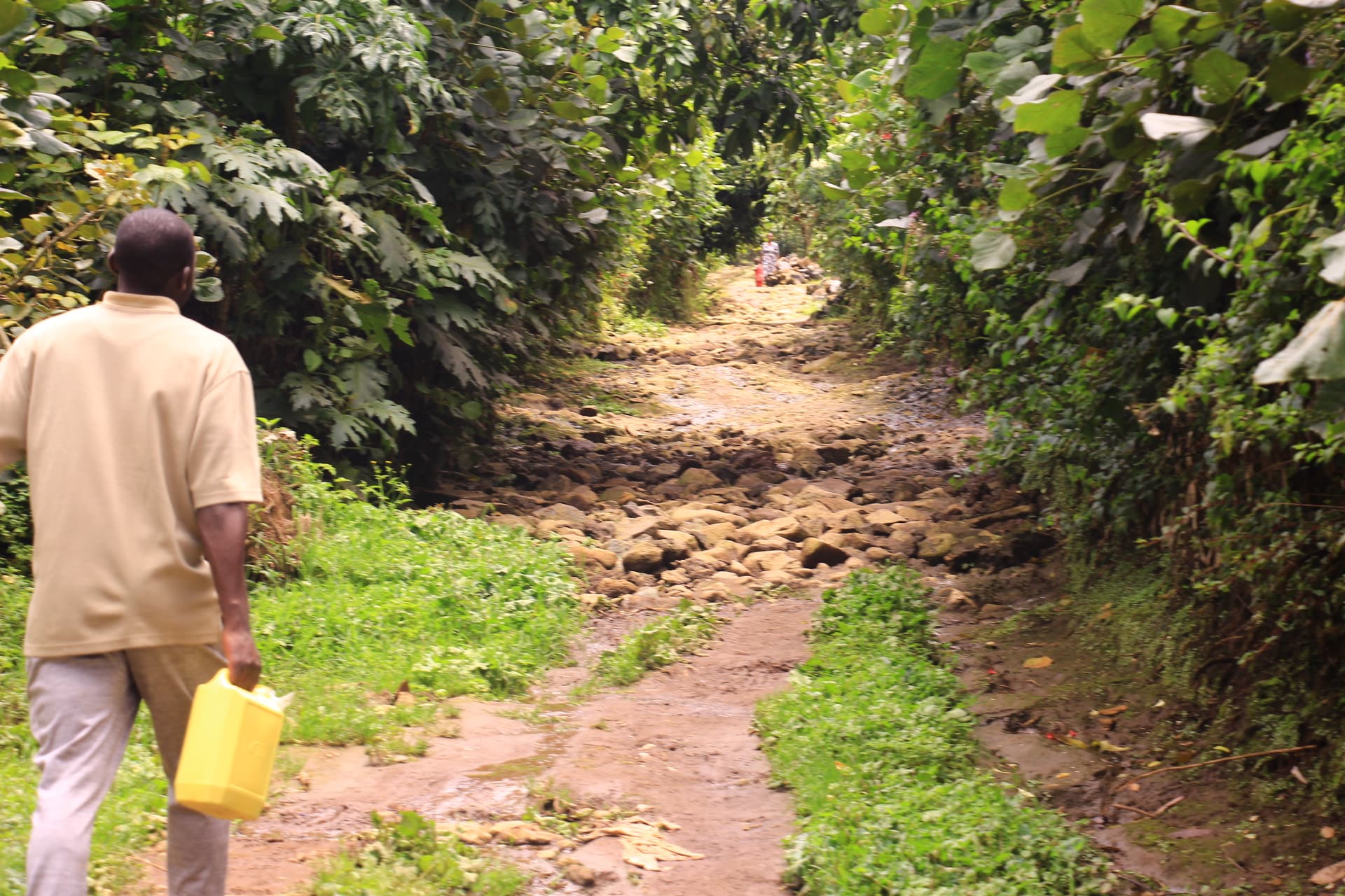 Musanze : The Ultimate Rwandan Cultural Immersion in Kinigi (3+ Hour Authentic Village Experience)