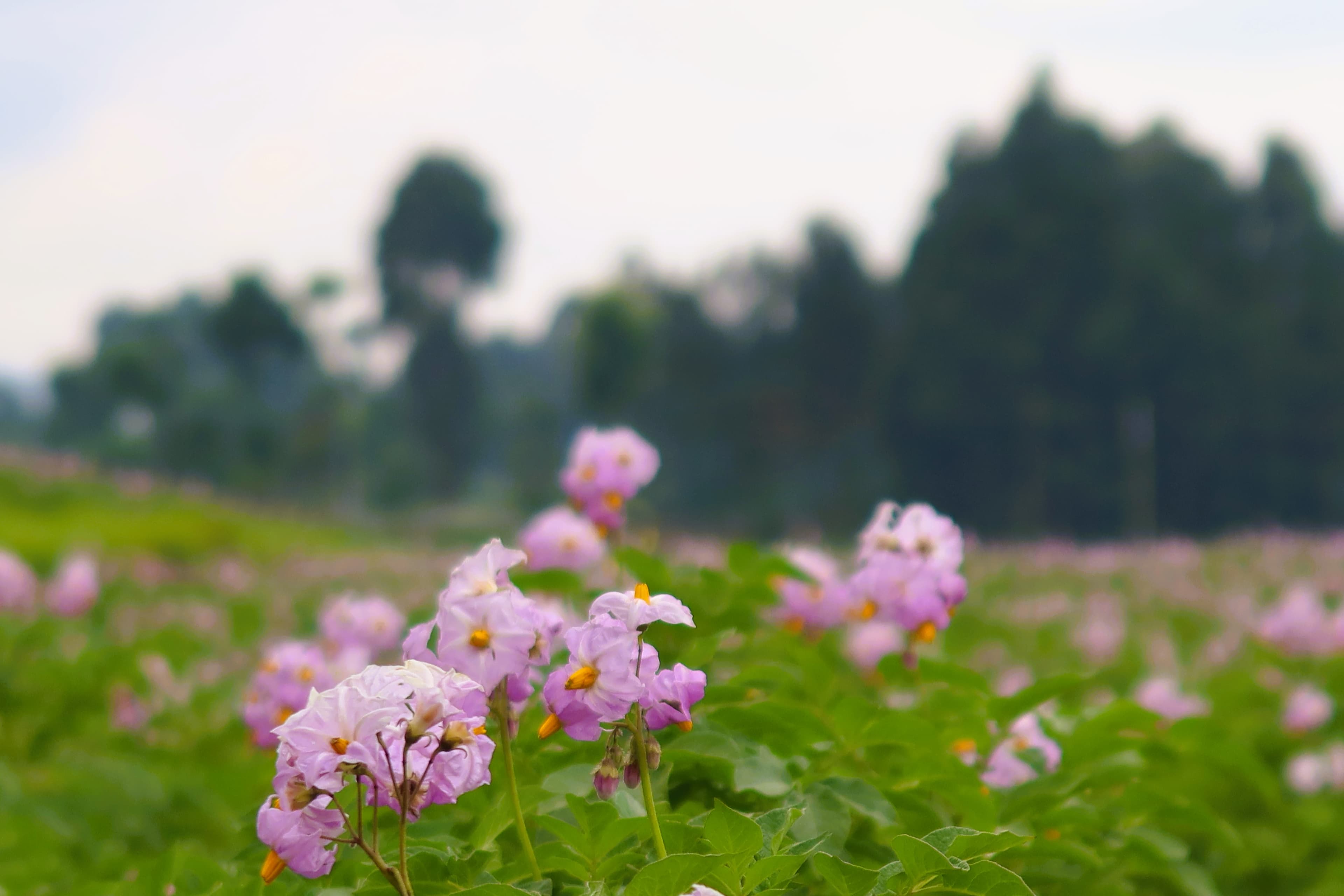 gallery-9